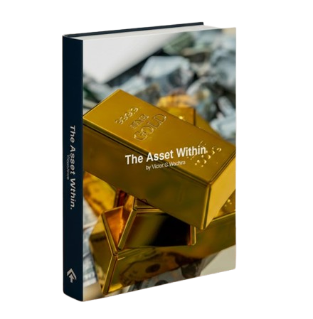 The Asset Within Cover